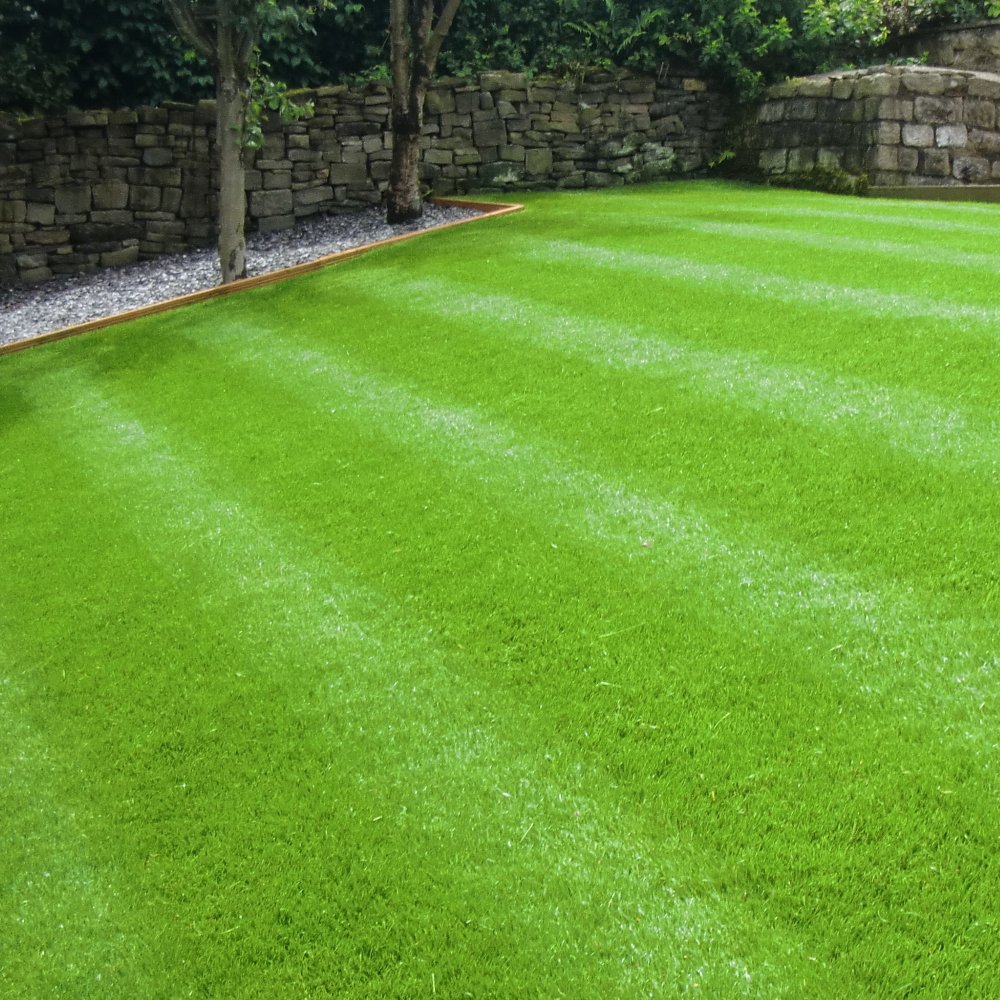 Semi de césped de jardín de uso general GroundMaster Premium Back en varios tamaños.