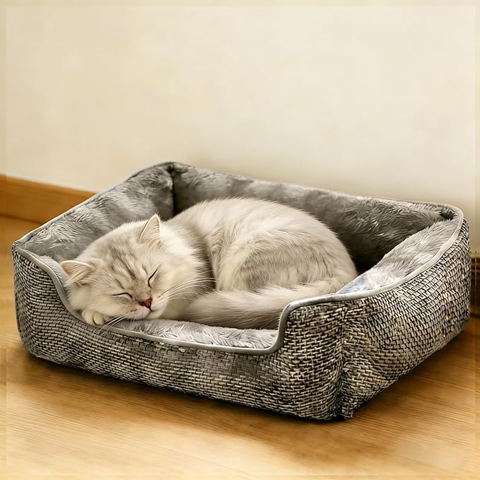 Cama Ortopédica para Perro Pequeño Rectangular Lavable