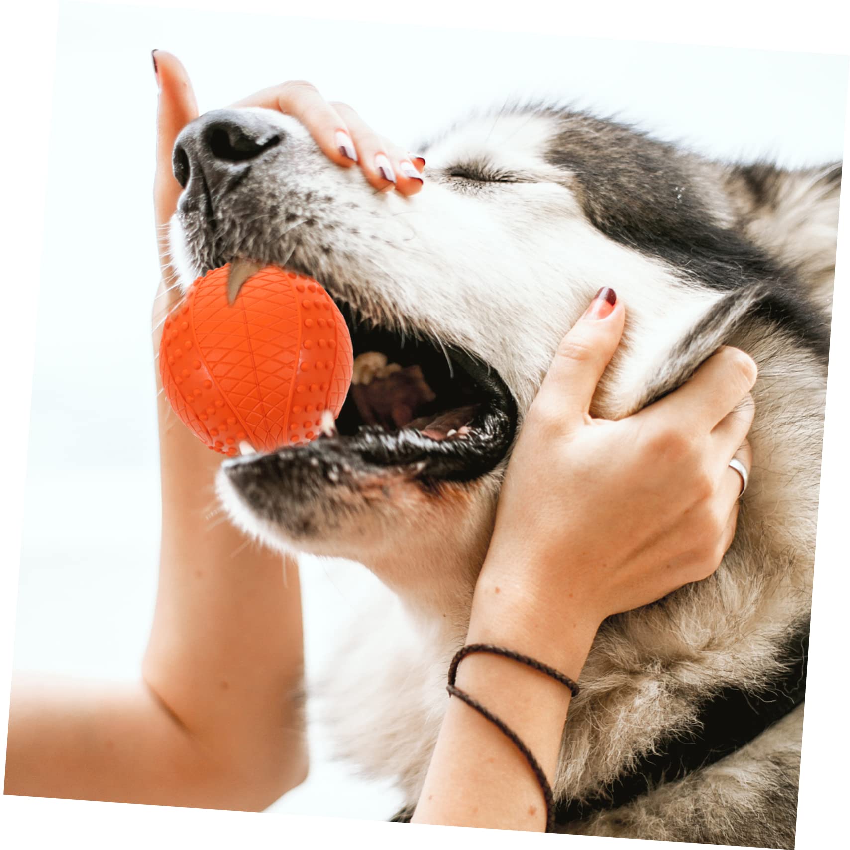 ORFOFE 4stücke Hundeball Spielzeug für Kleine und Mittelgroße Hunde Apportierball aus Robustem Gummimaterial Bissfest und Abriebfest Geeignet für Drinnen und Draußen