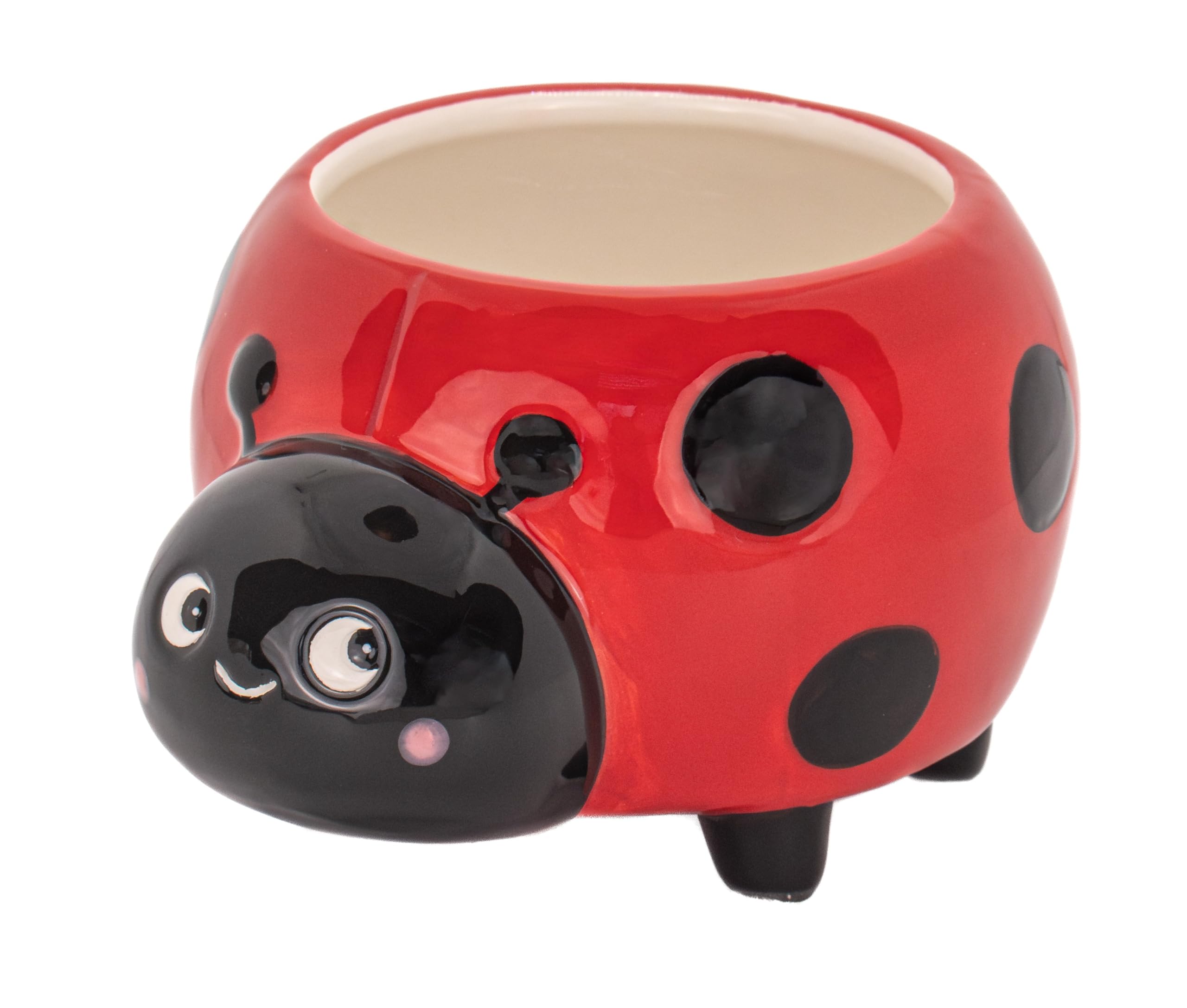 Sass & Belle Ladybird Mini Planter - Cute Decorative Plant Pot for Small Plants or Bulbs – Quirky Indoor Home Accessories by Sass and Belle – Mini Bulb Planter