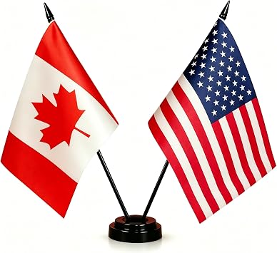 Zigvert 8 Pack Miniature Two Hole Flag Stand Base, Twin Desk Flag Holder, Mini Flag Stand, Two Hole Black Base For 4x6 5x8 Stick Desk Flags, Flag Holders for Almost All Small Mini Flags
