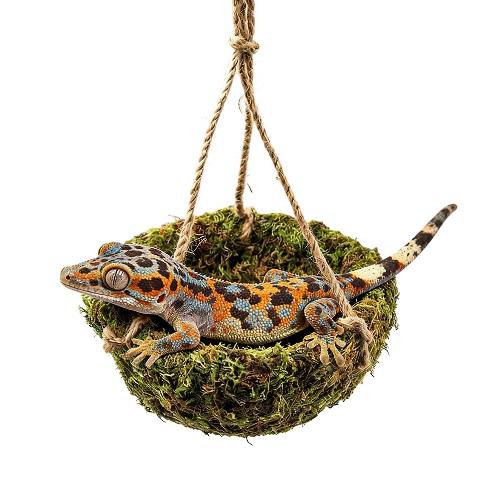 Hamac reptile pour lézard et accessoires d'escalade pour le bien-être en terrarium