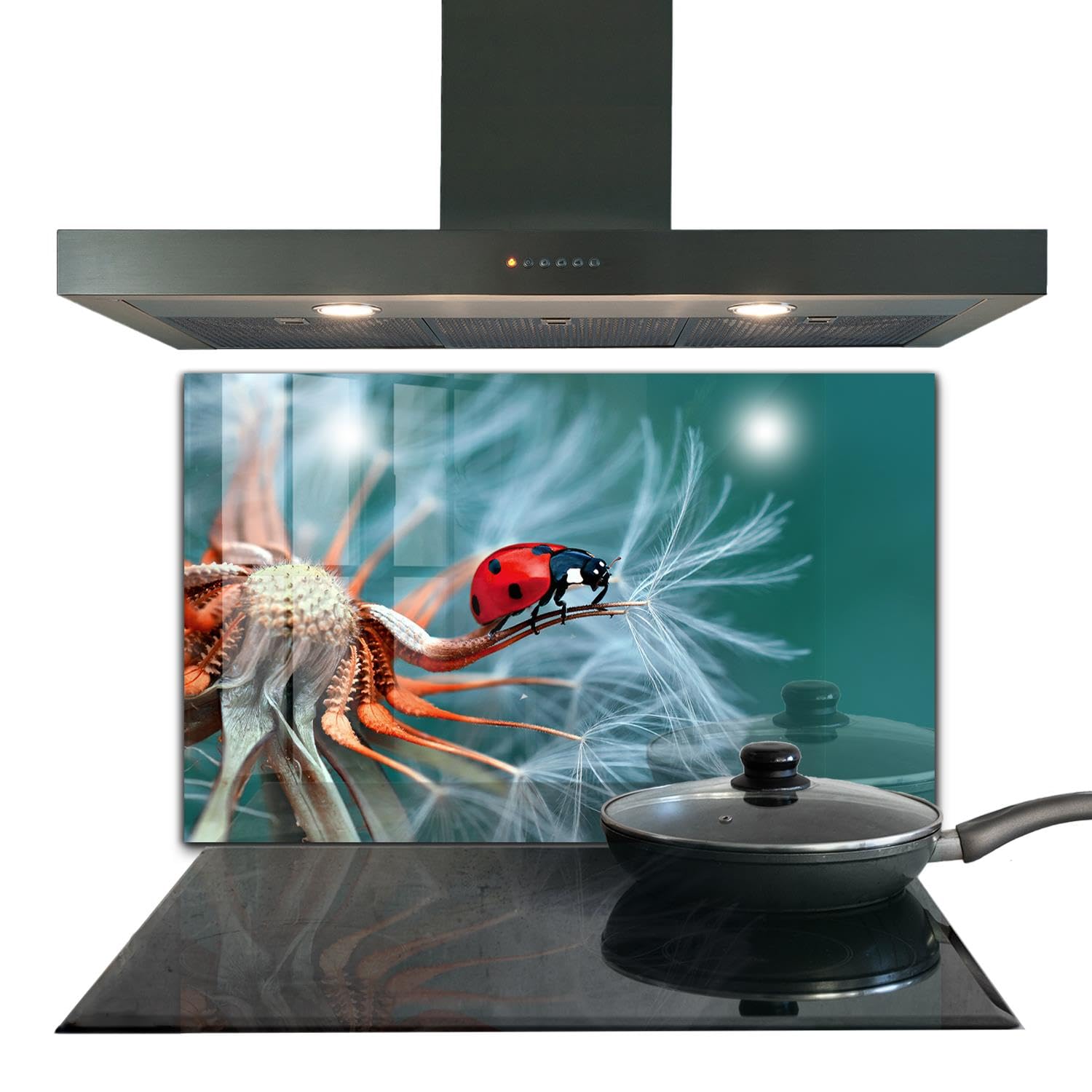 Panneau de cuisine Wallfluent en verre trempé 100x70 cm Biedronka Red Beetle