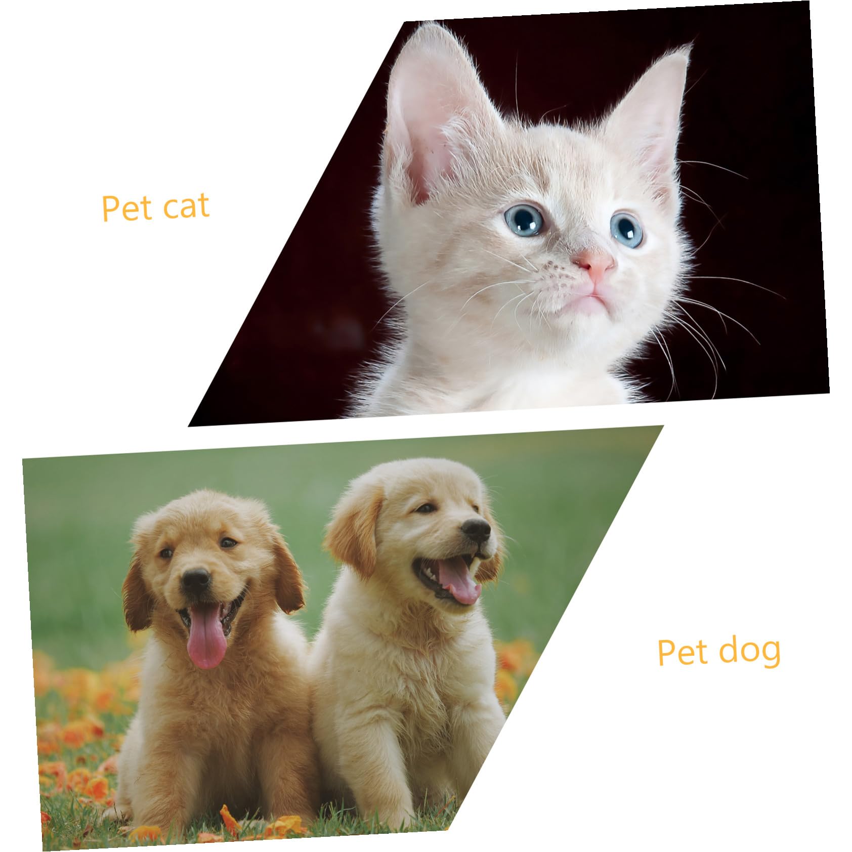 SUPVOX 3 Set Mantello Per Animali Domestici Abbigliamento Per Cani Di Halloween Costume Da Cucciolo Di Zucca Criniera Di Cane Costume Cosplay Per Animali Domestici Prop Peluche