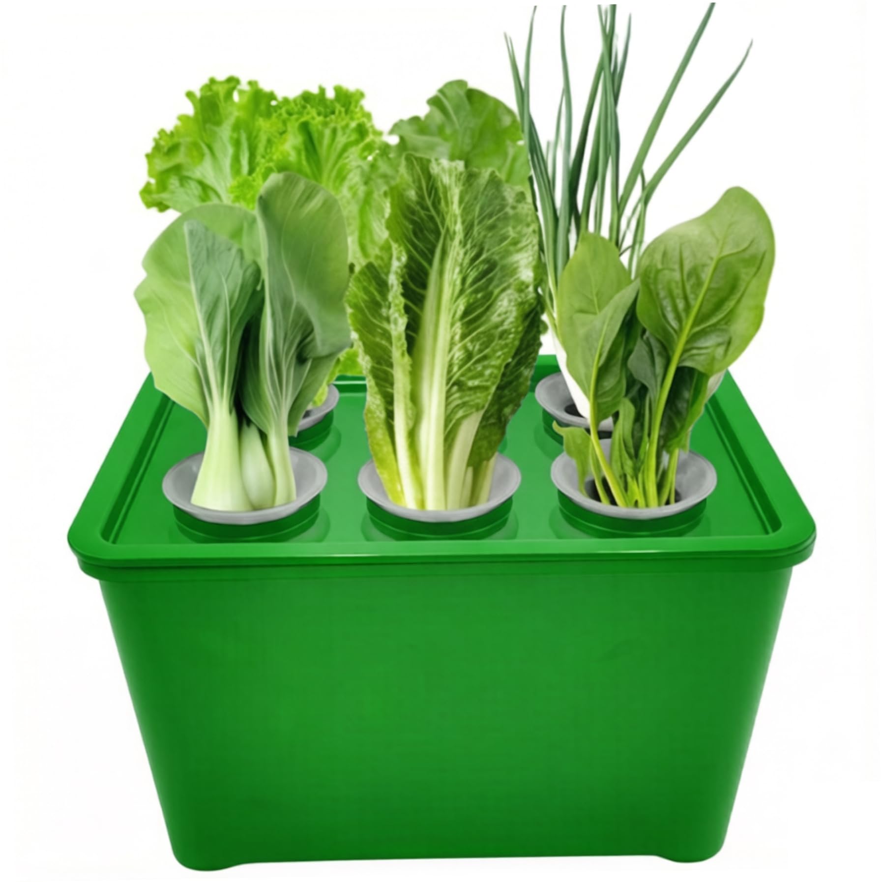 Neptuiby Hydroponics Growing System Kit, 6 Pods Indoor Herb Garden with Pump, Hydroponic Growing System for Home, Complete Starter Kit for Vegetables, Lettuce, Basil, Green.