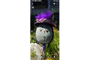 World's Finest Organic Poppy Seed Blend (25,000+ Seeds)