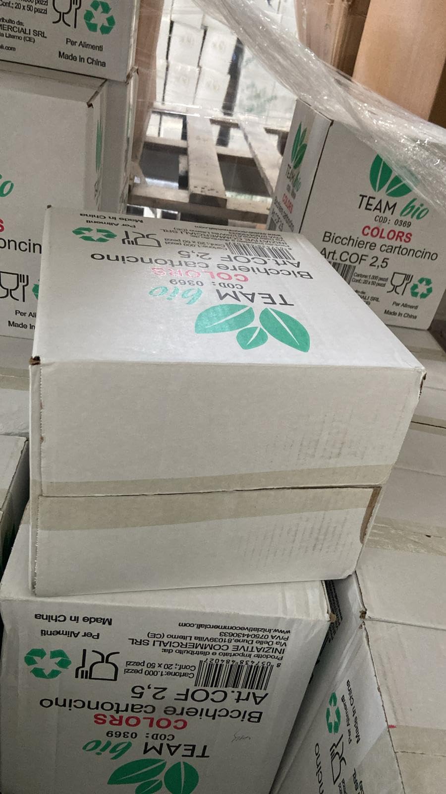 TeamBio 1000 Pz Bicchieri Caffe di Carta Biodegradabili Biocompostabili Tazzine 75ml