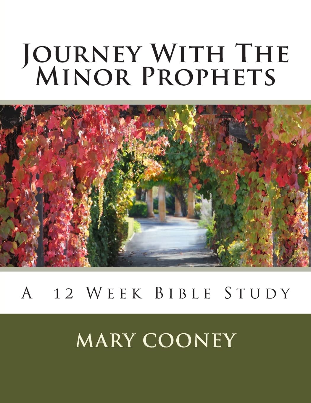Journey With The Minor Prophets: A Bible Study
