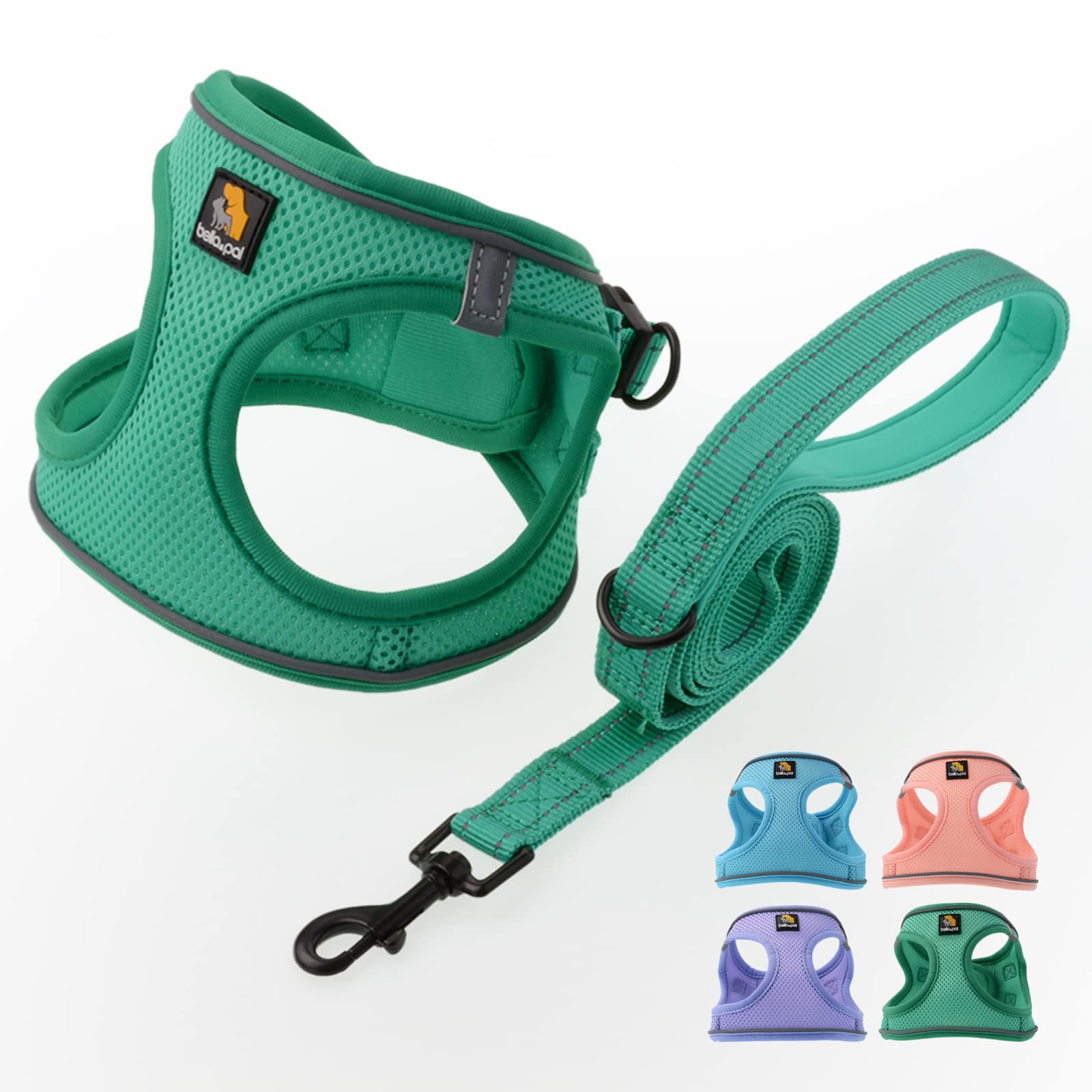 BELLA & PAL Dog Harness and Leash Set, Step-in Puppy Harness, Breathable Air Mesh with Reflective Strips, No Pull Vest for Puppies/Extra Small/Small Dogs, Green, XXS