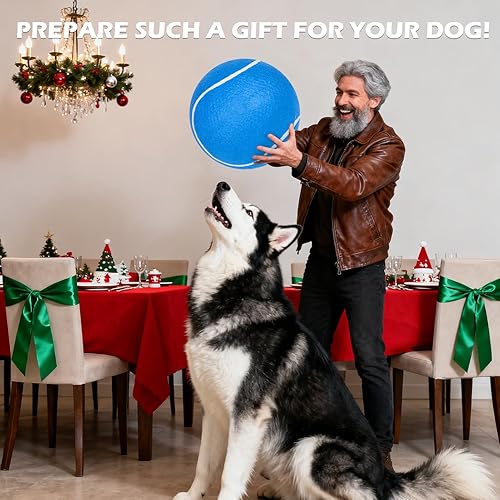 Miniatura 8 de EXPAWLORER Giant Tennis Balls for Dogs - 2Pcs 9.5" Interactive Dog Ball Toy for Outdoor Indoor Training Playing Sports, Large Tennis Ball Toys with