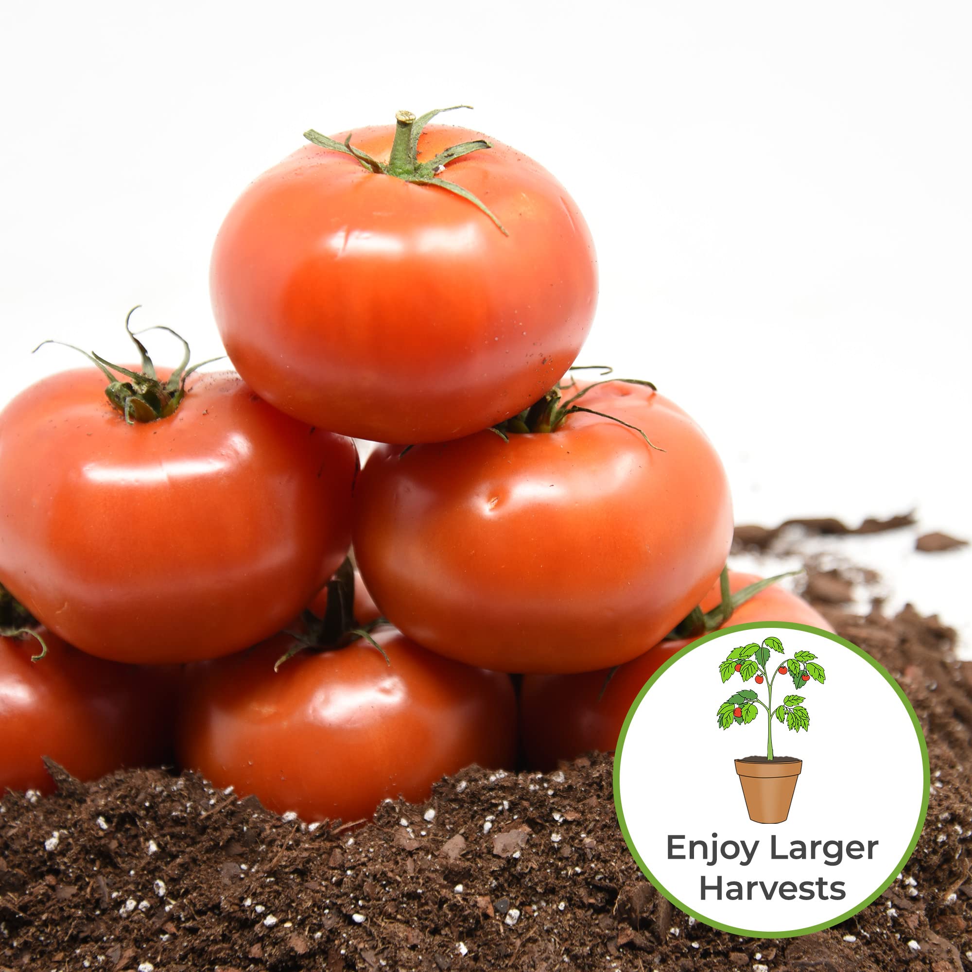 Amazon.com : Perfect Plants Tomato Plant Fertilizer in 8oz. Bottle | Help  Your Vegetable Garden Thrive | Rich in Essential nutrients : Patio, Lawn &  Garden