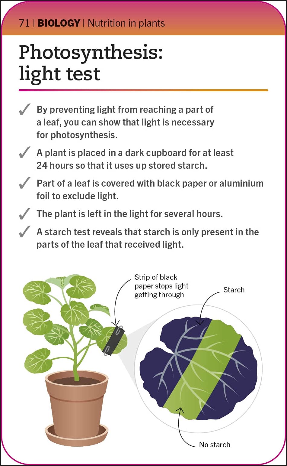 Super Simple Biology Revision Cards Key Stages 3 and 4: 125 Comprehensive, Easy-to-Use Revision Cards for GCSE Exam Preparation