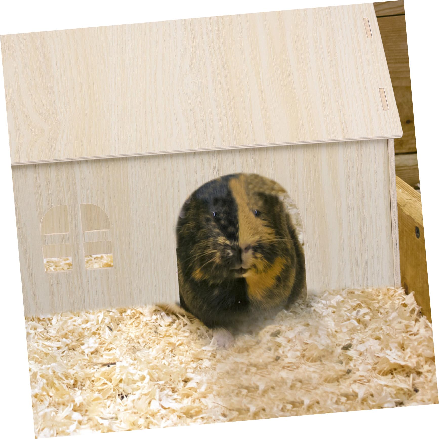 NOLITOY Meerschweinchen Holzhaus aus Naturholz Großes Tierversteck mit Klettermöglichkeiten Spielhaus für Eichhörnchen und Kleintiere Haustier Spielzubehör für Meerschweinchen und Hamster