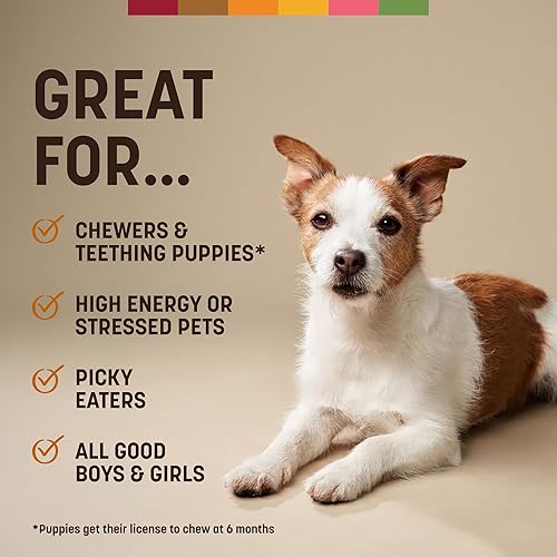 Miniatura 66 de Earth Animal - Masticables para perros pequeños sin esconder, 3 bolsas de 2 unidades (6 masticables en total) - Hecho en los Estados Unidos