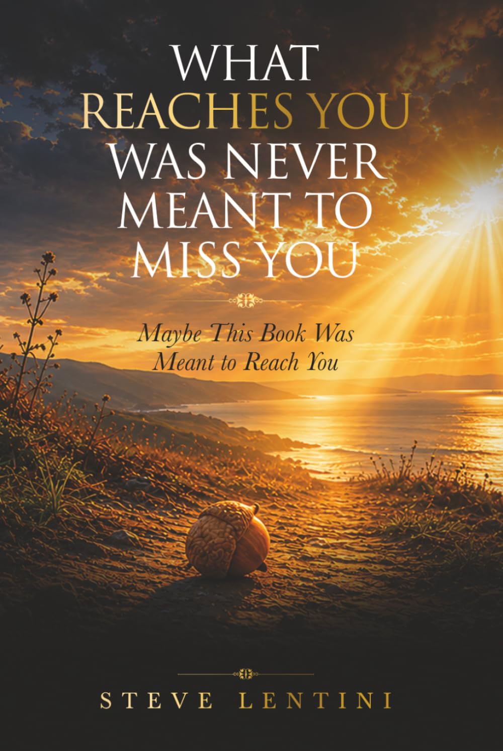 What Reaches You Was Never Meant To Miss You: Maybe This Book Was Meant To Reach You