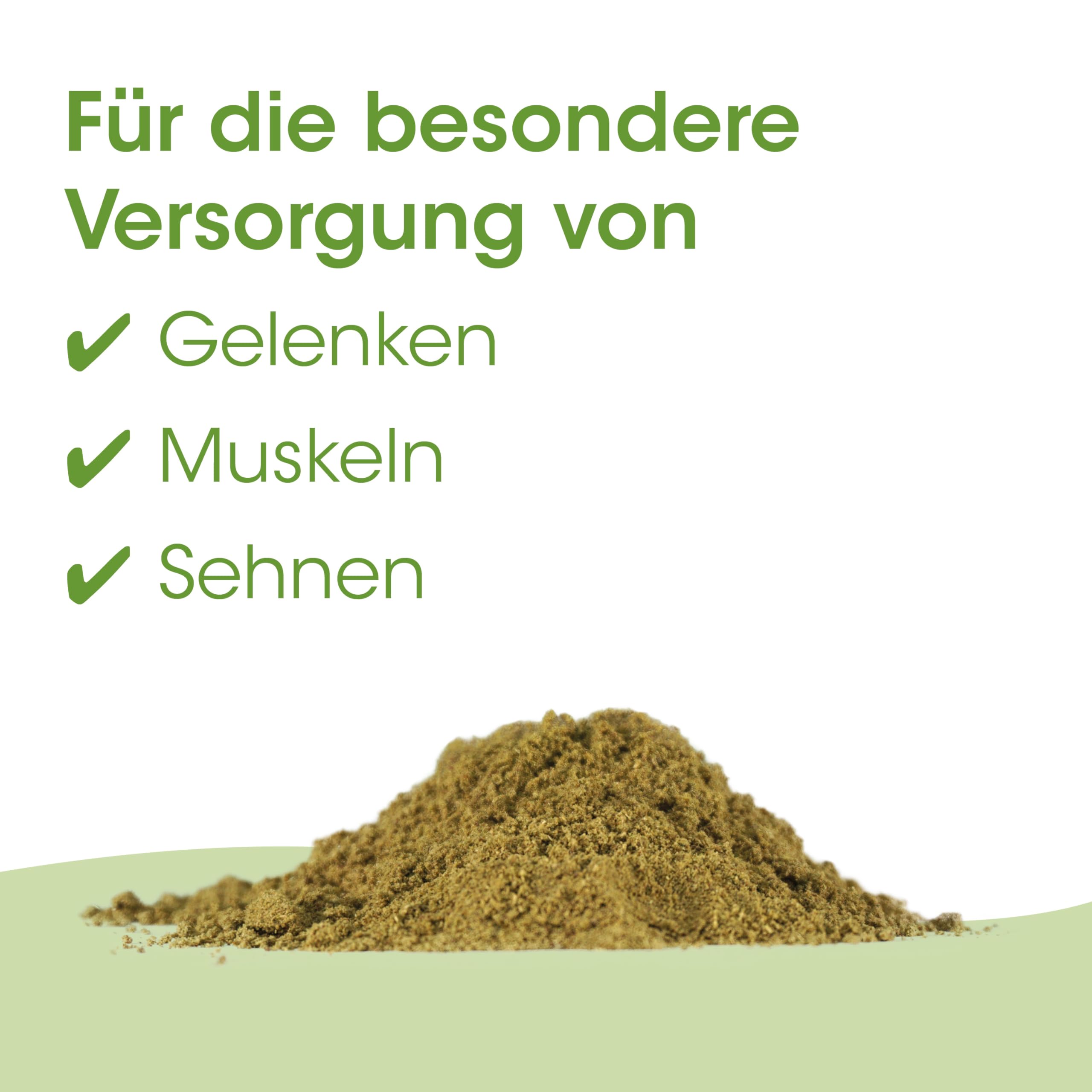 cdVet Natural Products ArthroGreen Classic 2kg - para una función óptima de las articulaciones y el sistema musculoesquelético - suministro óptimo de vitaminas - alegría de movimiento - fortalecimiento - vitaminas -