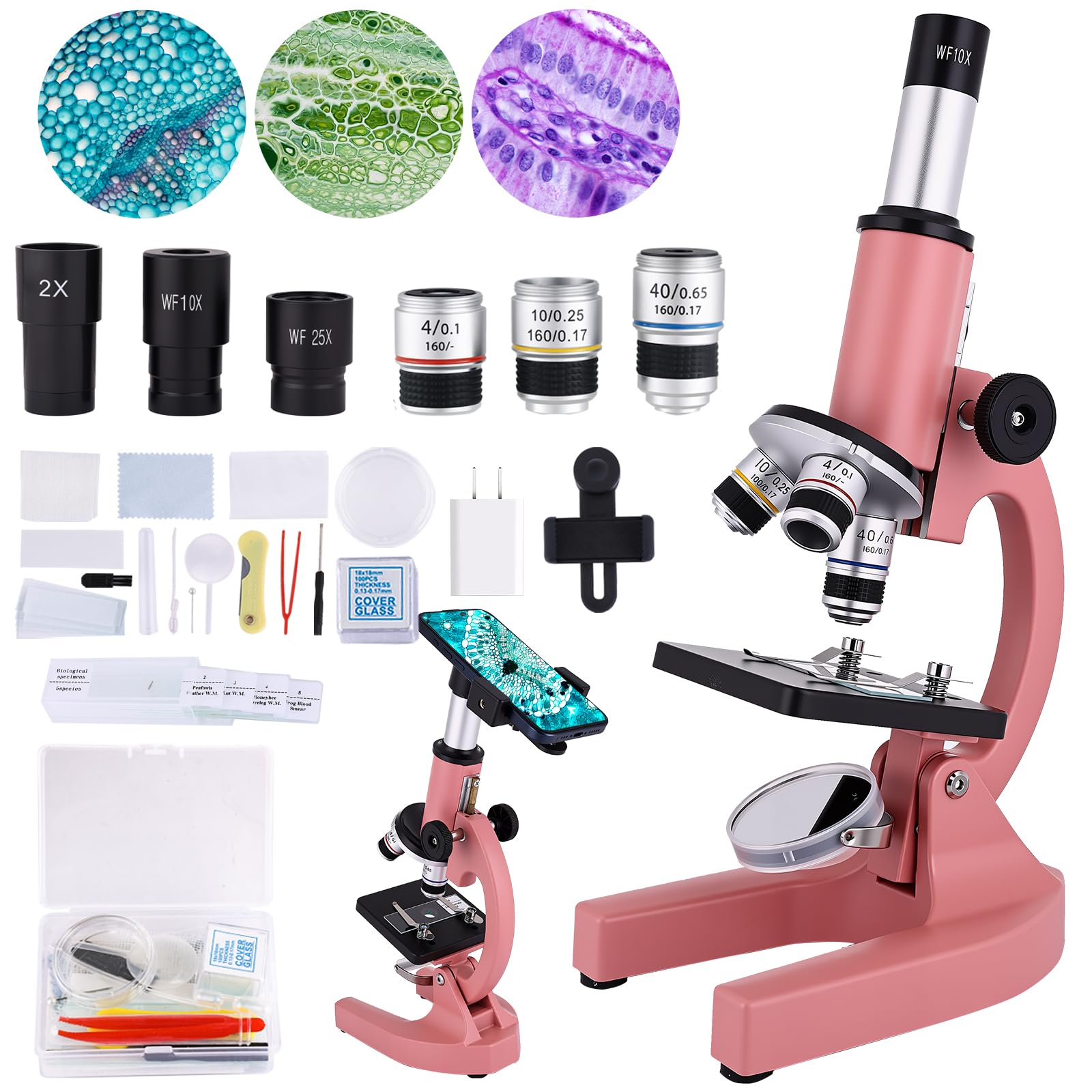 OOZSTAR Microscope for Kids & Adults,40X-2000X Magnification Microscope for Kids 8-12, with LED Fill Light & Phone Holder, Great for School Labs and