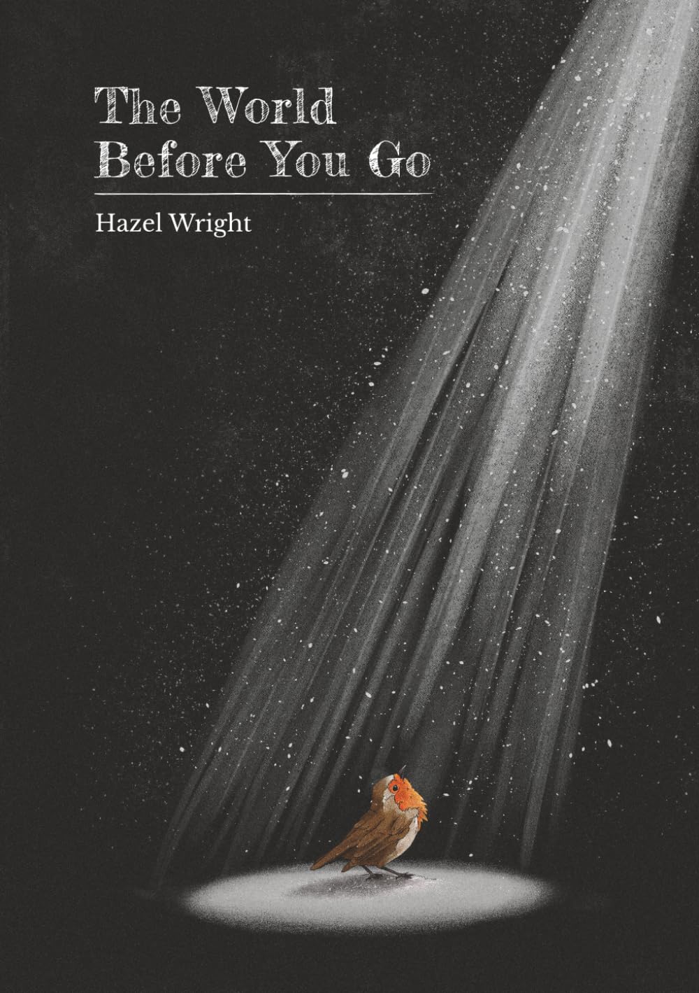The World Before You Go