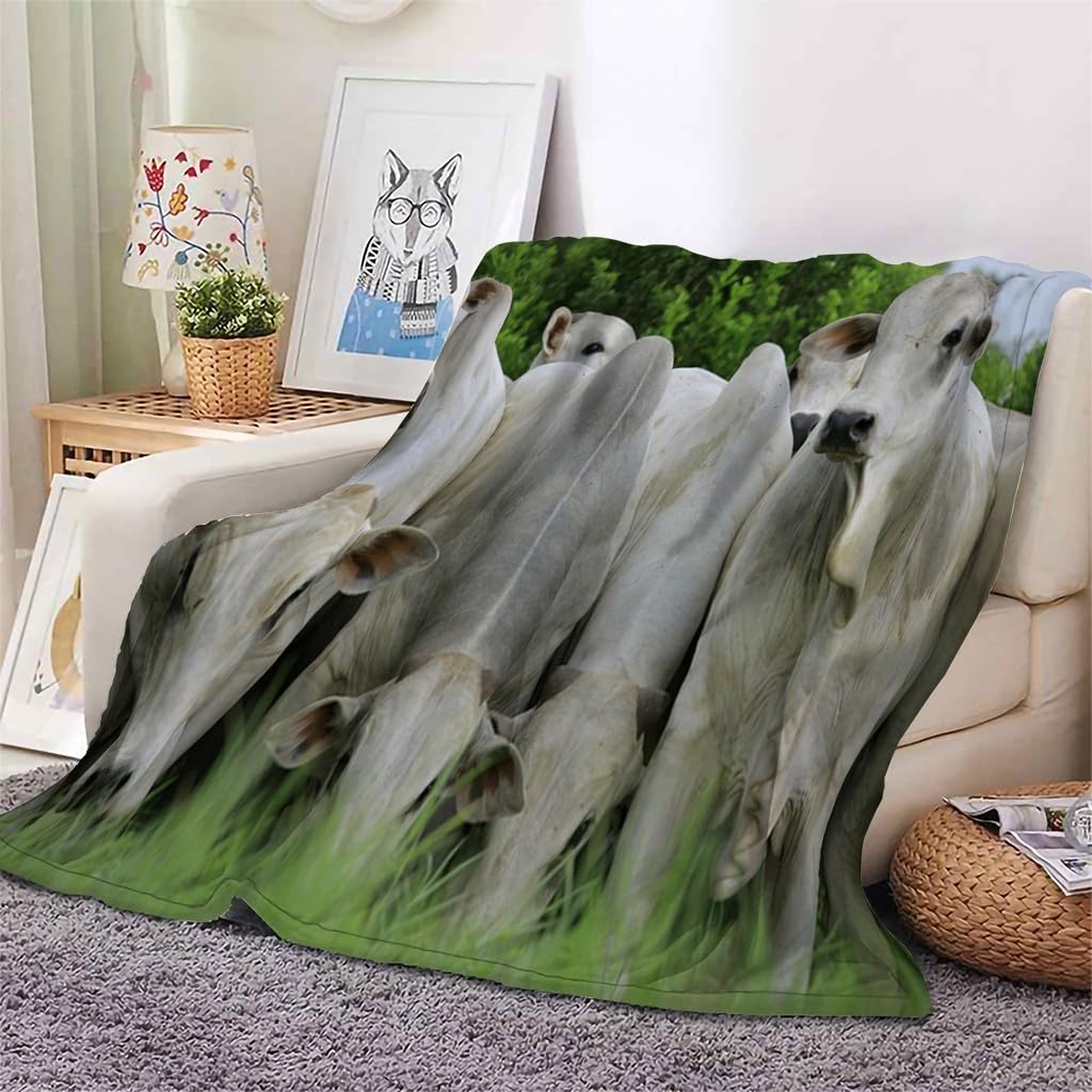 Generico Koc w kratę podwójne łóżko białe krowy, koc 3D, zwierzęta 180 x 200 cm ciepły i miękki koc flanelowy, koce w kratę z polaru na łóżko sofę narzuta na sofę i pokrowiec na sofę AL1