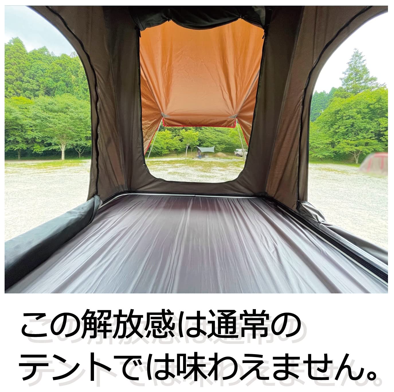中古】ルーフテントWR-101 ハシゴ付き【直接引取限定】 | FTB.PT