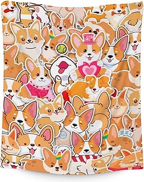 Corgi Blanket Gifts - 30"x40" Cute Throw for Adults, Kids - Colorful Soft Fuzzy Blankets for Couch & Office