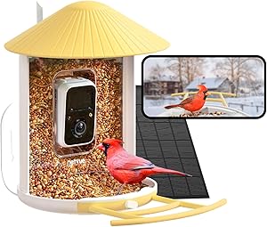 Birdfy Solar Smart Bird Feeder with Camera, AI Bird Recognition, 1080P HD Live Video, Motion Detection, Auto Capture, Color Night Vision, Outdoor Gift for Bird Lovers, Yellow asin的图片