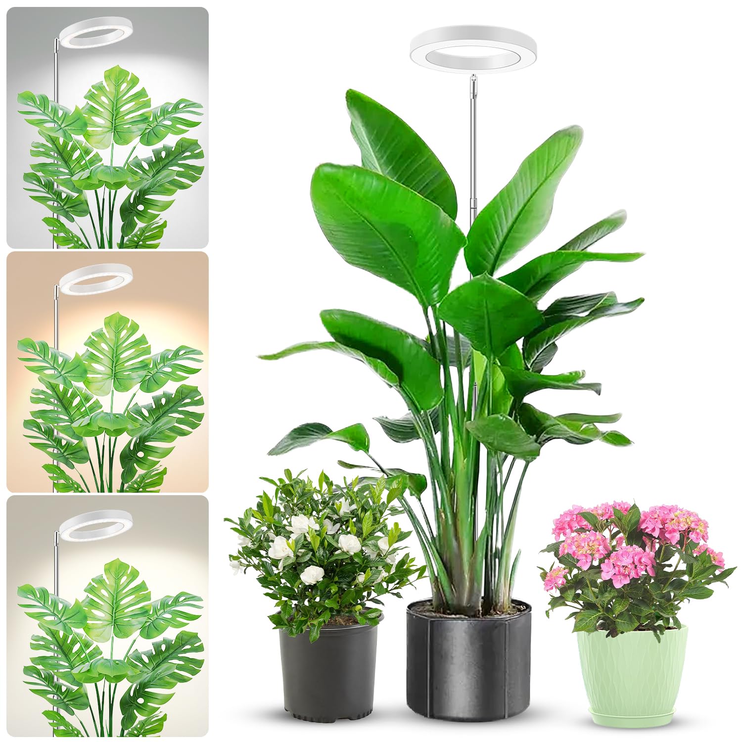 Aokrean Halo Plant Grow Light for Indoor Plants, 6.3in Full Spectrum White