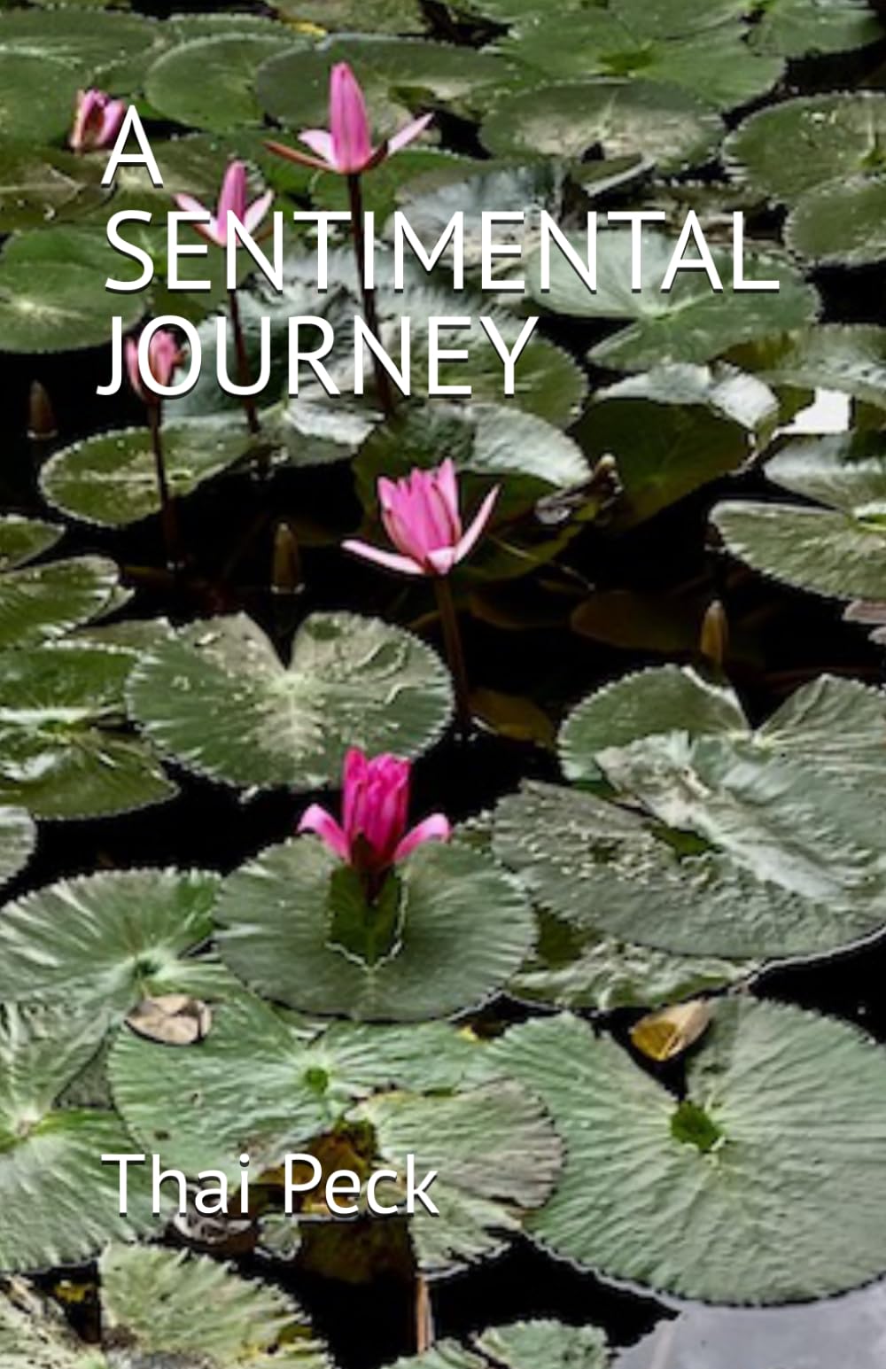 A SENTIMENTAL JOURNEY