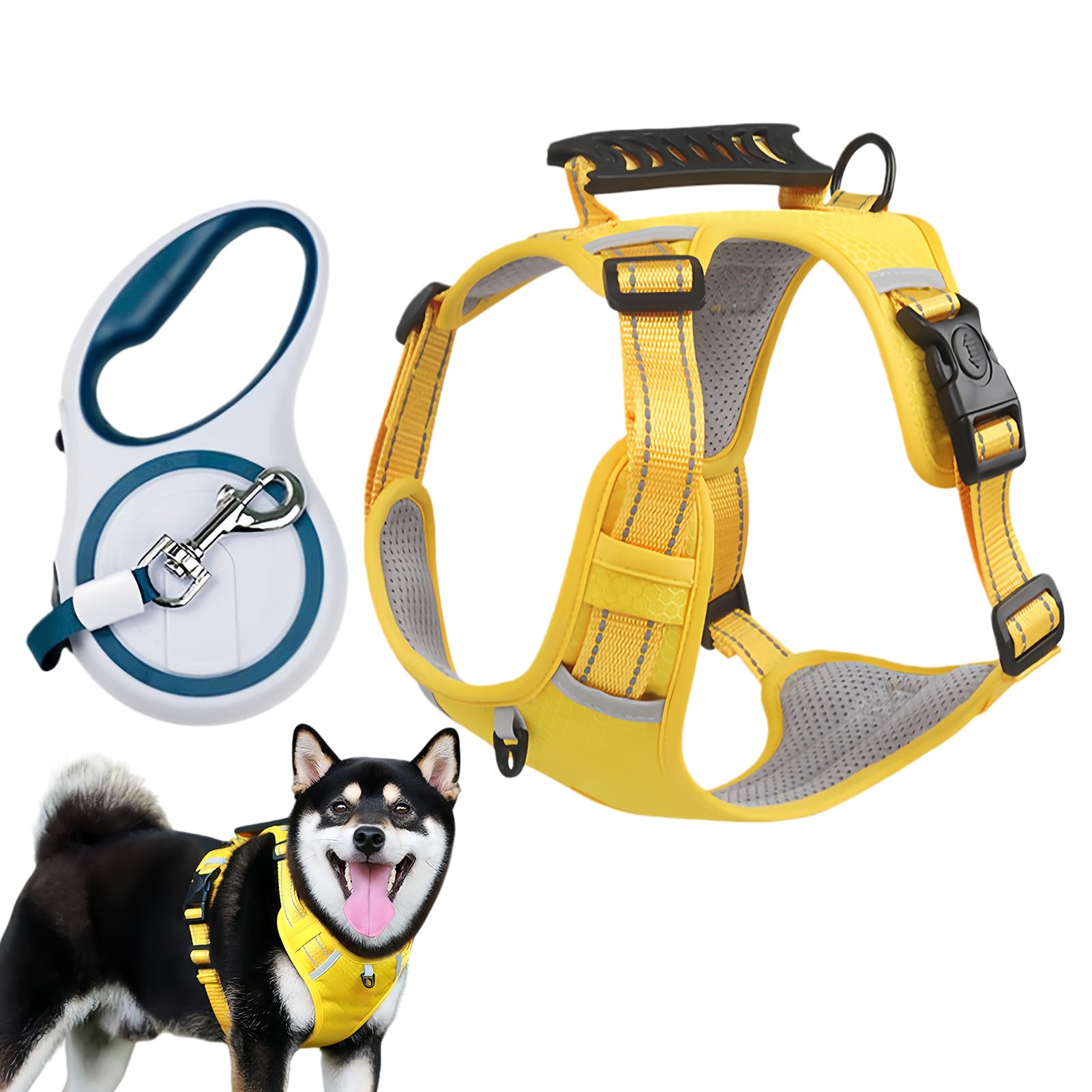 Arnés para perros pequeños ideal para jugar en el jardín y patio exterior