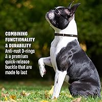 Vista 2 de Active Pets Collar de liberación rápida para perros pequeños y grandes, collar de seguridad ajustable con hebilla segura, comodidad transpirable
