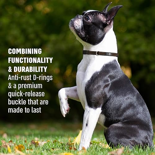 Miniatura 9 de Active Pets Collar de liberación rápida, collar transpirable para perros, collares para perros machos, collares para perros hembras, collares para