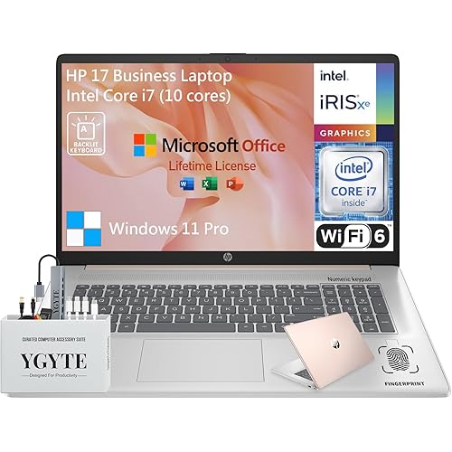 HP 17 Touchscreen Laptop Computer, 17.3 Inch HD+ Touch Screen Business Laptop PC, Intel Core i7, 64GB RAM 1TB SSD+512GB Docking Set,Windows 11 Pro,Lifetime Office,10 Key,Backlit,Fingerprint, Rose Gold
