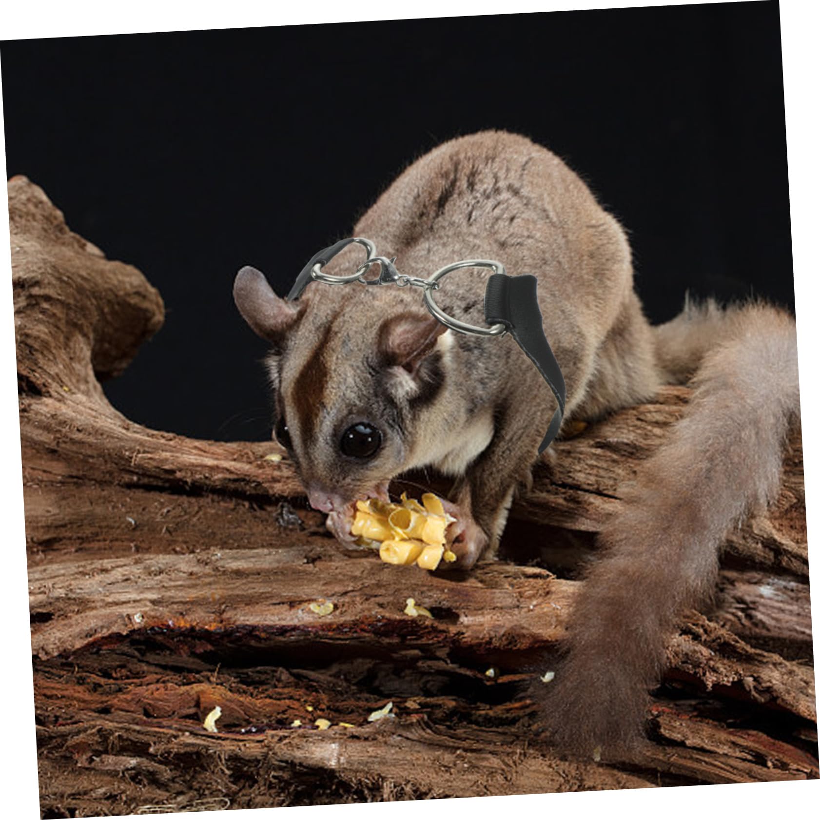 Happyyami Wool Polyester Sugar Glider Traction Rope Pet Hauling Cable for Easy Use