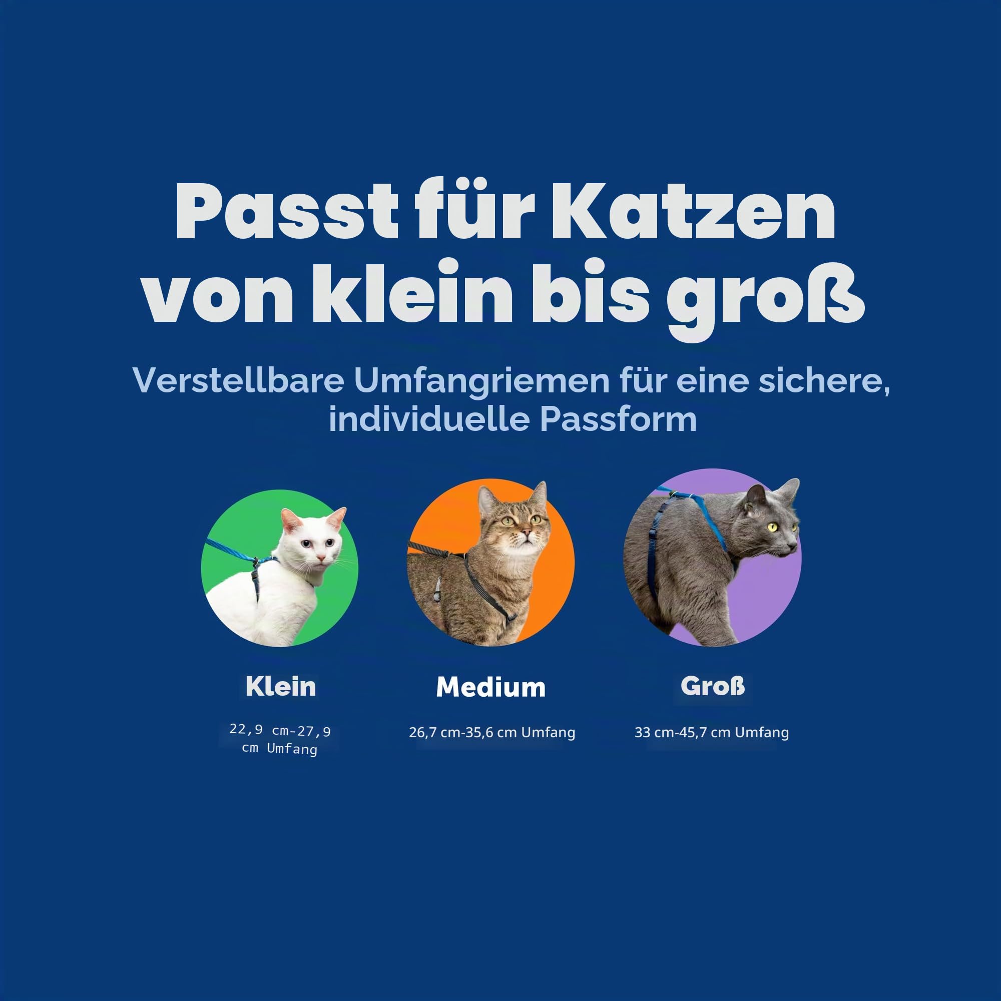 PetSafe Come with Me Kitty Geschirr und Bungee-Leine, Geschirr für Katzen, Größe S, Schwarz/Silber