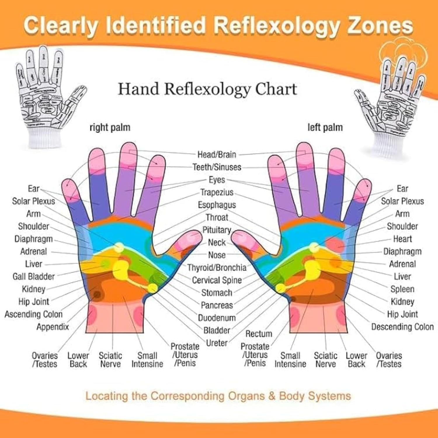 PREZONE Acupressure Reflexology Gloves & Hand Socks Set for Men & Women | Pain Relief Finger Massager Gloves with Tool Stick | Hand Spa Massage Gloves with Reflexology Point Therapy | Pack of 1 Pair 3