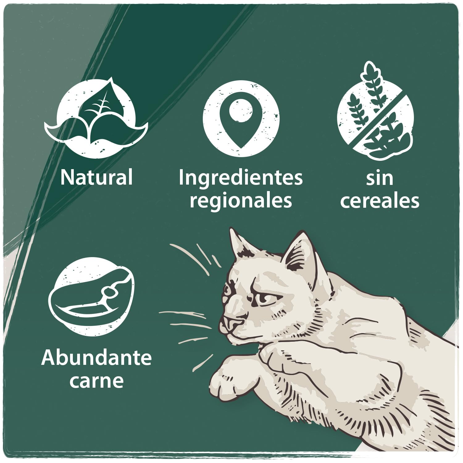 VenandiAnimal Comida de calidad para gatos - salmón, con pescado fresco, comida seca, sin cereales, 1 paquete (1 x 1,5 kg)