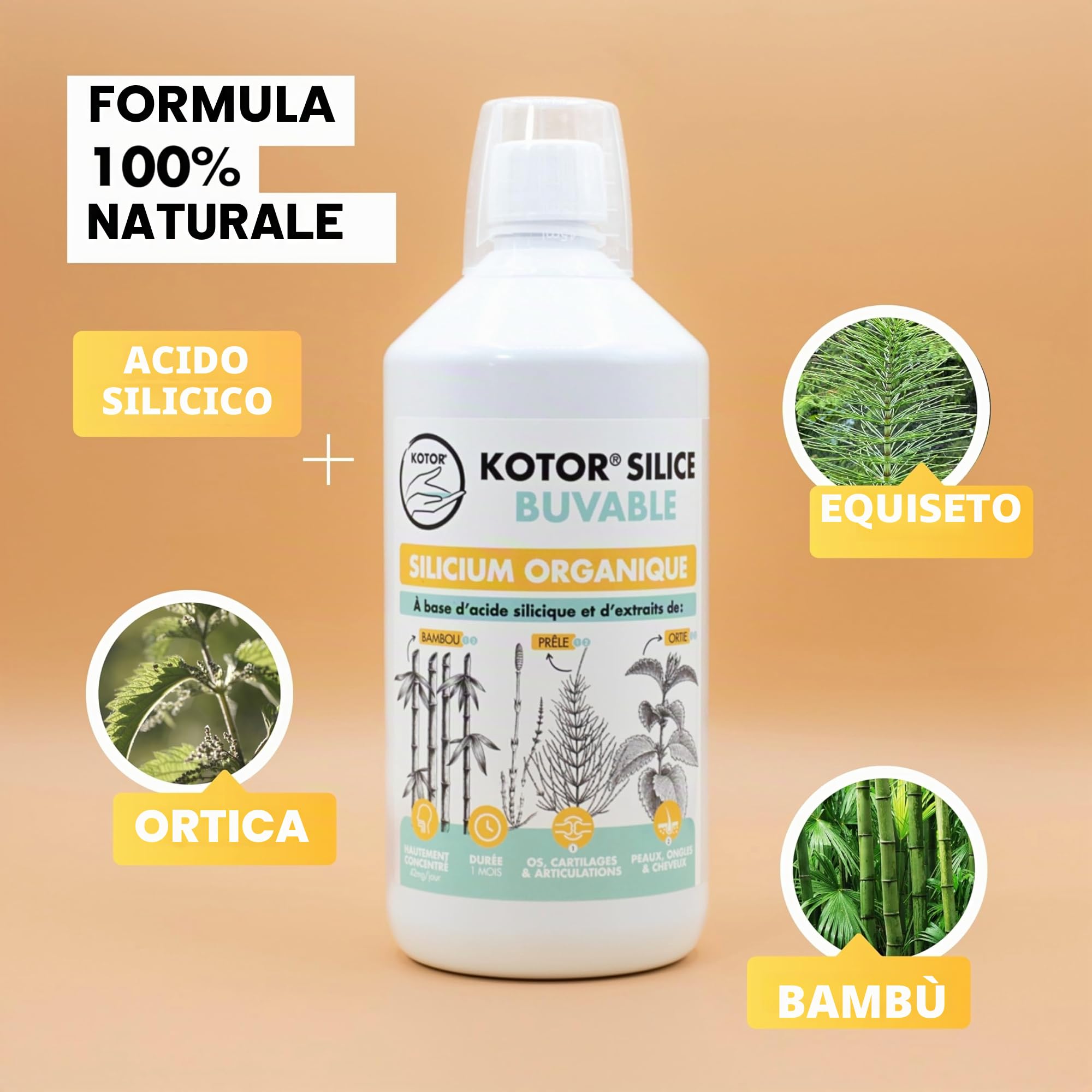 KOTOR SILICE BUVABLE 1L | Silicium Organique Francais & Naturel | Fortement Dosé | Santé des Articulations, Cartilages, Os, Peau, Cheveux, Ongles | Silicium + Ortie + Prêle + Bambou | 1 mois