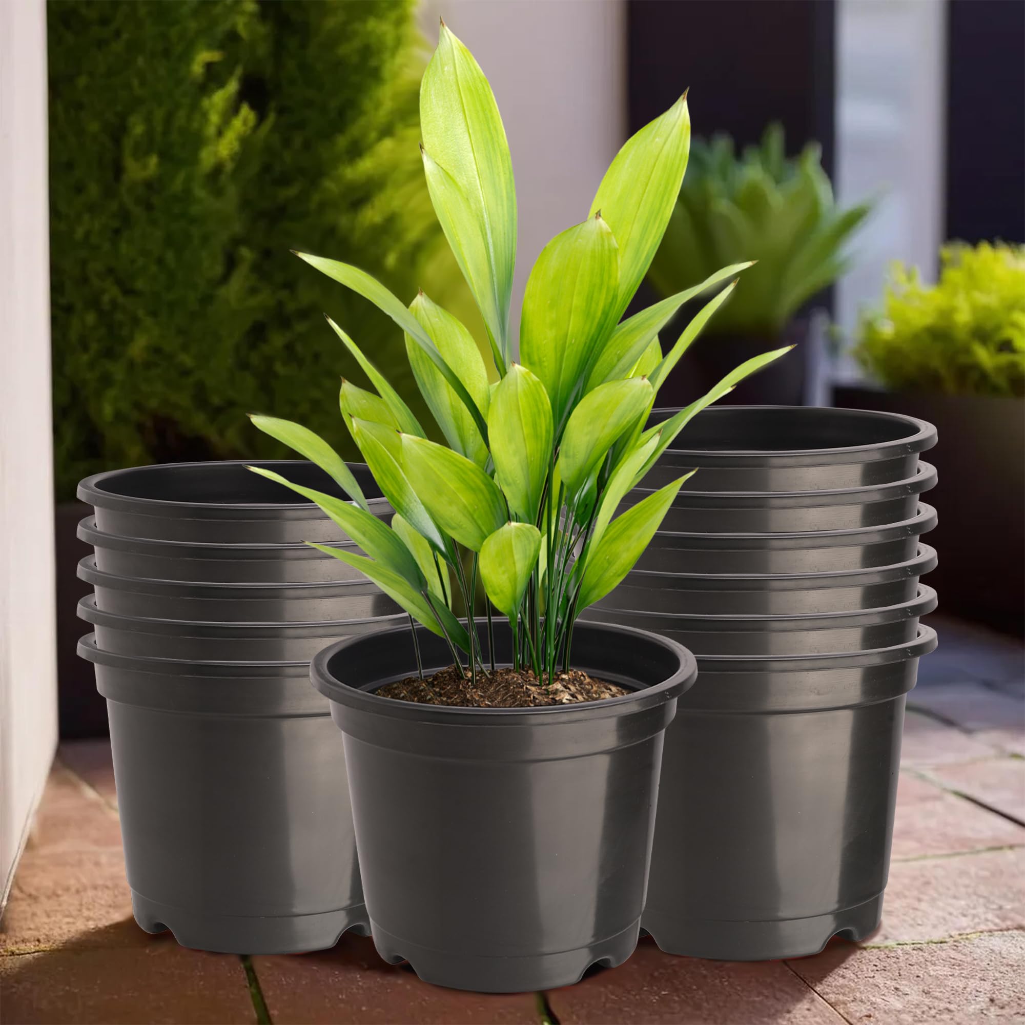 Heart Home (Pack of 12) Flower Pot | Pots for Home, Terrace, Garden (8 Inch) Fuldani Flower Pot | Pots Stand for Plants | Phooldaan for Home D�cor | Synergy Indoor Plant Stand | Black (B0D7VC8L59) Amazon Price History, Amazon Price Tracker
