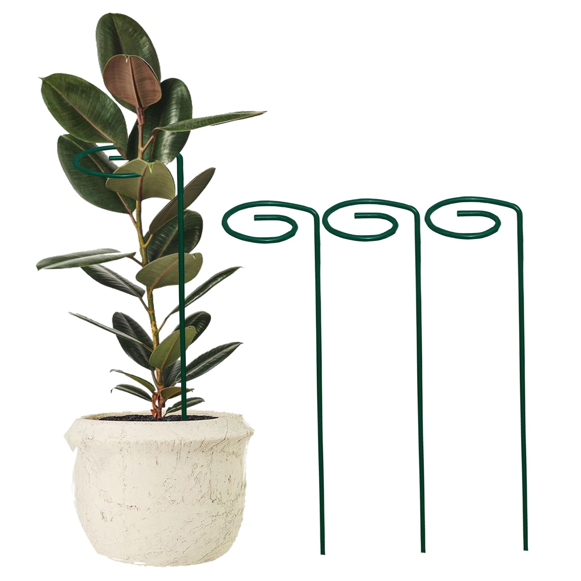 Garden Plant Support Stack Plant Climber Garden Metal Plant Sticks 18 inch Green Color (06) (B0CVBNK3DY) Amazon Price History, Amazon Price Tracker