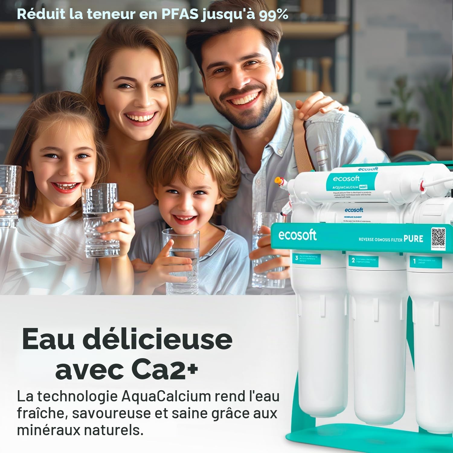 Ecosoft P'URE AquaCalcium Filtre avec pompe sur châssis métallique, osmose inverse pour la maison | filtre 99,8 purcent des polluants de l'eau | minéralise l'eau potable avec du calcium