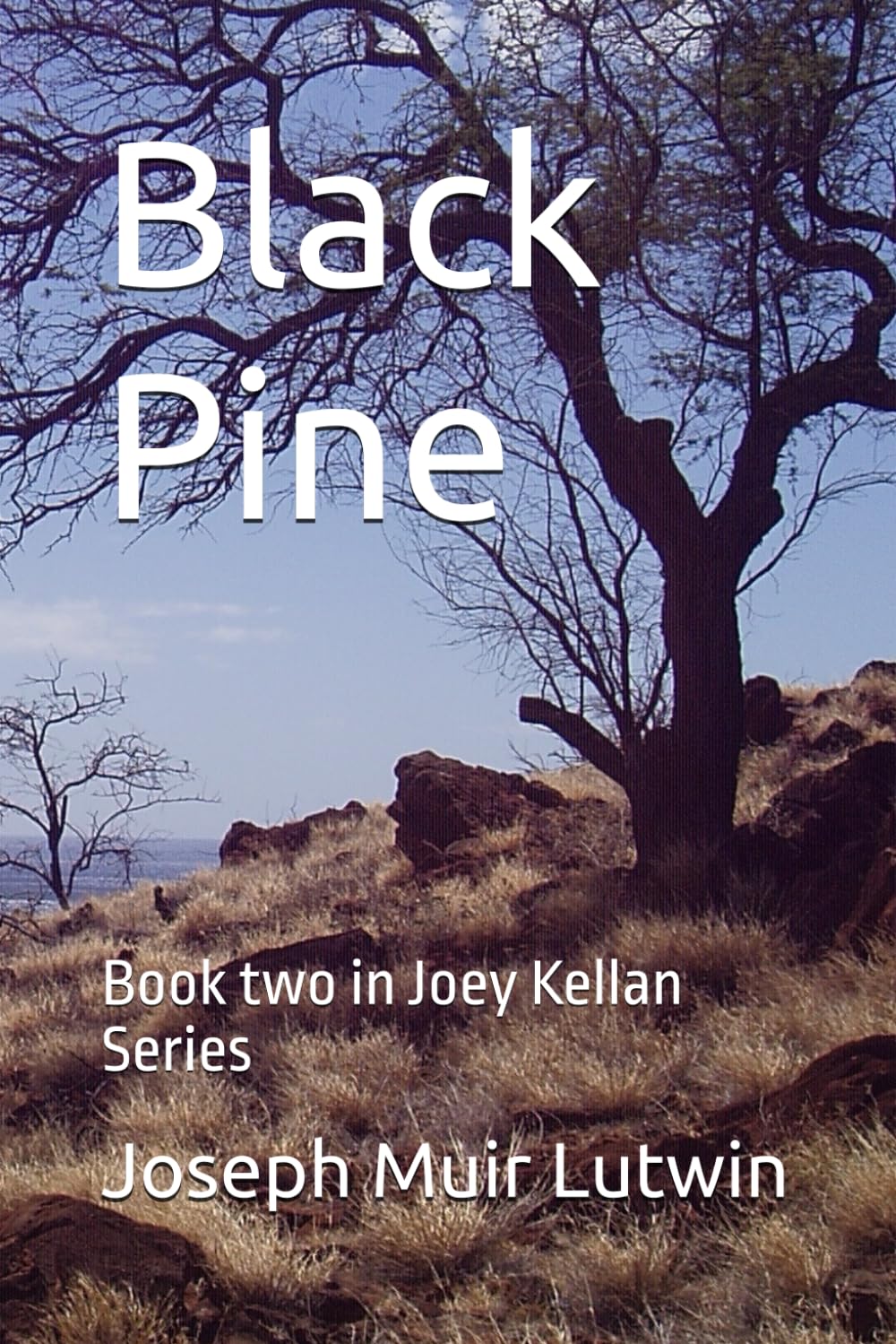 Black Pine: Book two in Joey Kellan Series