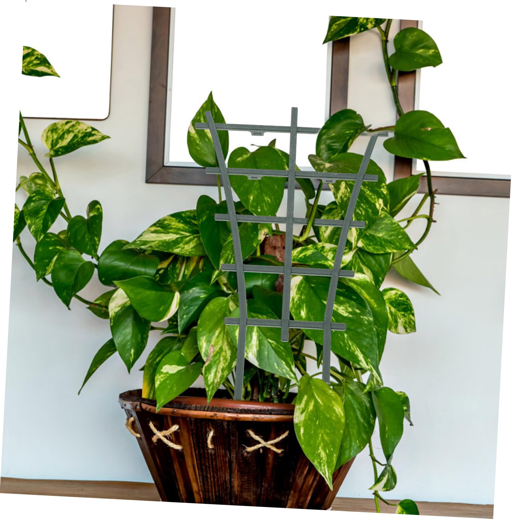 Supporto Favorisce Crescita Sana in Giardino e Nero 12 Pezzi in Pp per Piante Rampicanti Sostegno per Pomodori e Rose, Protegge dal Vento Forte