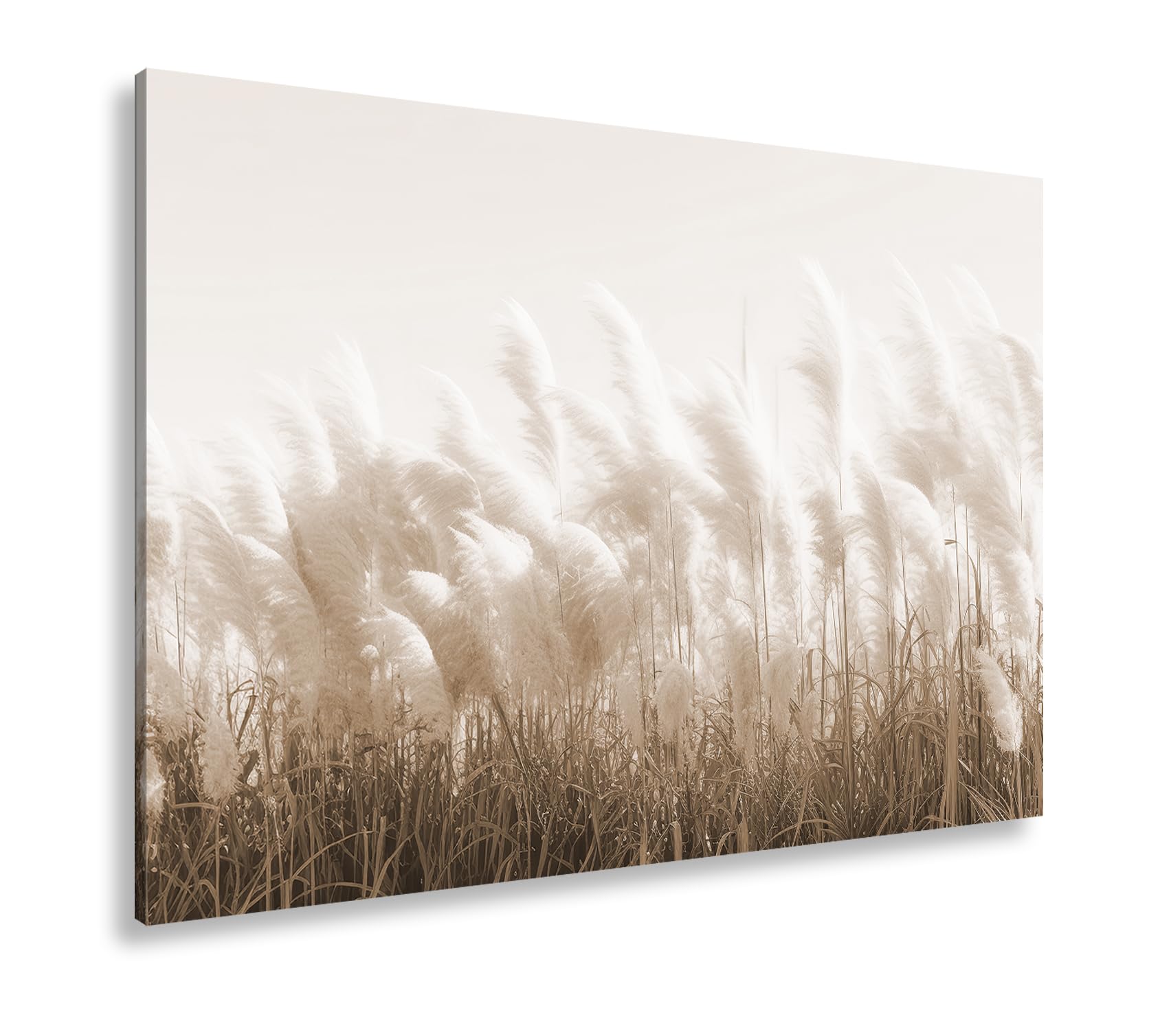 deyoli Leinwandbild Zartes Pampasgras flüstert im goldenen Sonnenhauch. Format: 100x70cm Effekt:Sepia XXL Kunstdruck Bild auf Keilrahmen/Wandbild/Wohnzimmer Dekoration