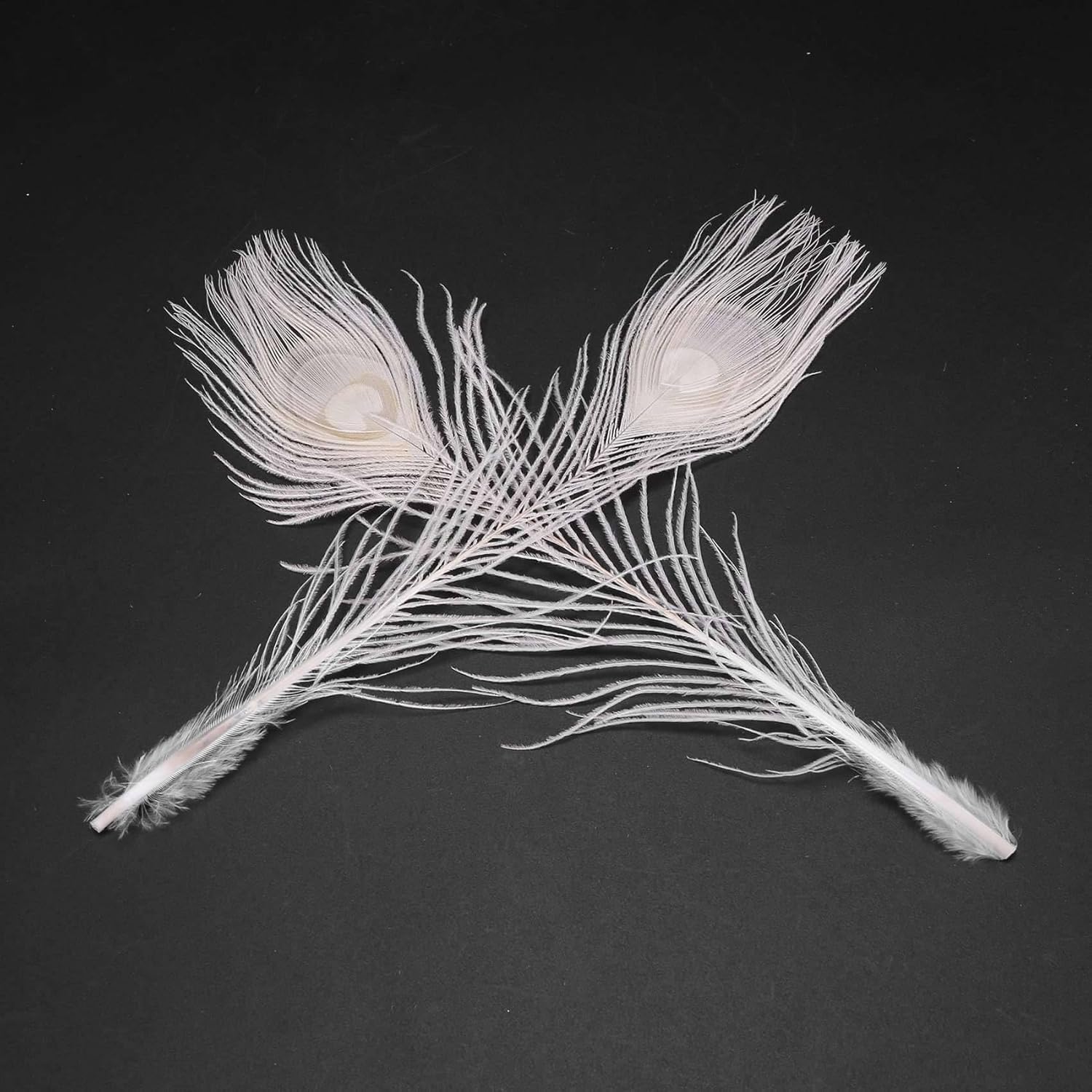 披露宴会場「孔雀南の間」 | 帝国ホテル 東京 | マイナビウエディング プレミアムヴェニュー 200本/ナチュラルホワイト 目の孔雀の羽 10-12インチの孔雀の羽 結婚式の装飾