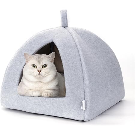 amazon cat bed igloo