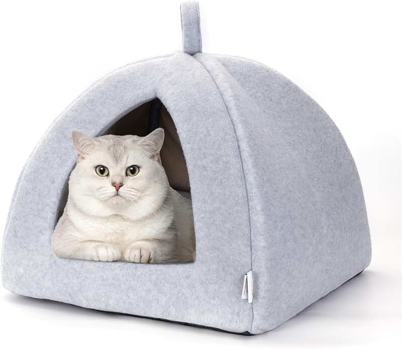 Amazon.co.uk Cat Caves & Houses Cat Caves & Houses / Cat Beds
