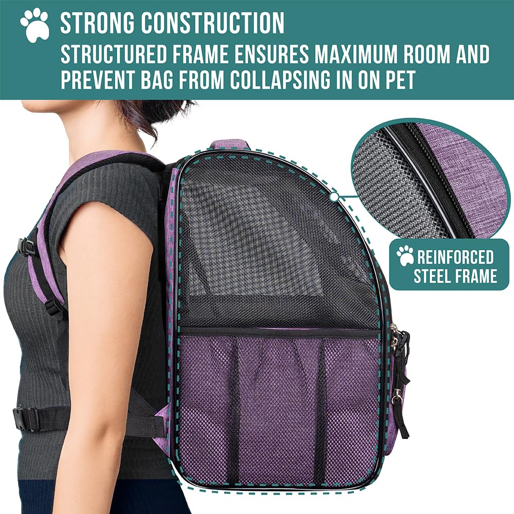 PetAmi Hond Kat Rugzak Drager, Uitbreidbare Pet Carrier Rugzak Reizen Wandelen, Kleine Medium Hond Puppy Grote Kat Draagrugzak, Goedgekeurde Geventileerde Zachte Rugsteun, 18 Lbs, Donkergrijs