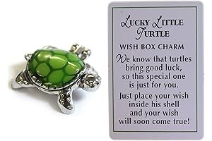 Ganz Lucky Little Turtle Wish Box Charm: Thoughtful Keepsake