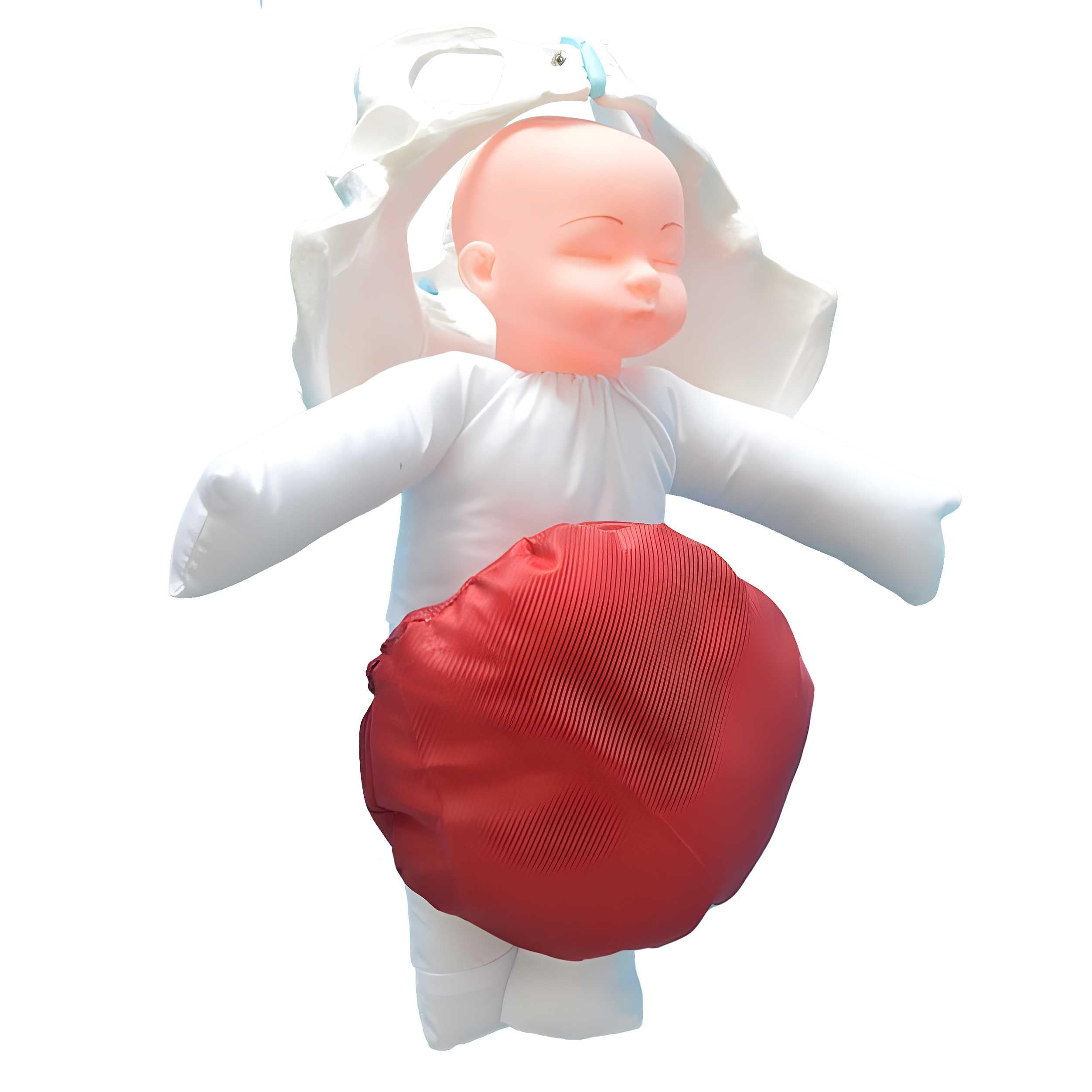 AMITD Modello di nascita per ostetriche con fondo pelvico e neonato per simulazione realistica