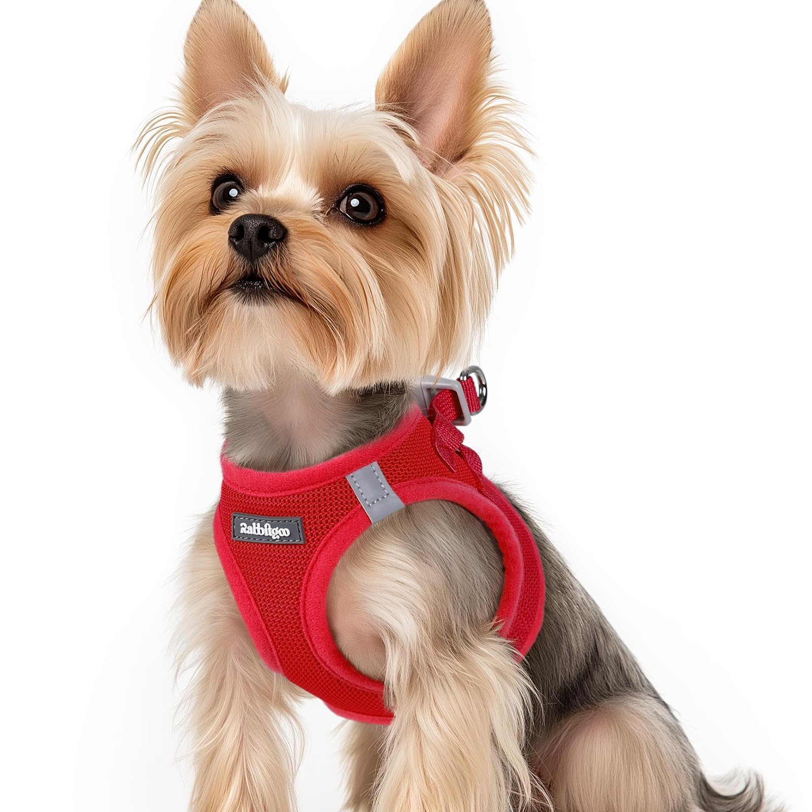 rabbitgoo Dog Harness Small Dog, Step-in Soft Mesh Puppy Harness with Reflective Strips, Lightweight Breathable Pet Vest for Walking Training, Red, XS